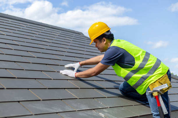 Best Shingle Roofing Installation  in Blue Mound, IL