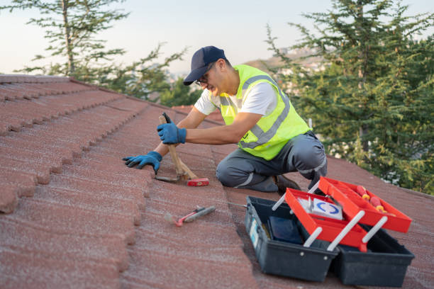 Best Flat Roof Repair Services  in Blue Mound, IL