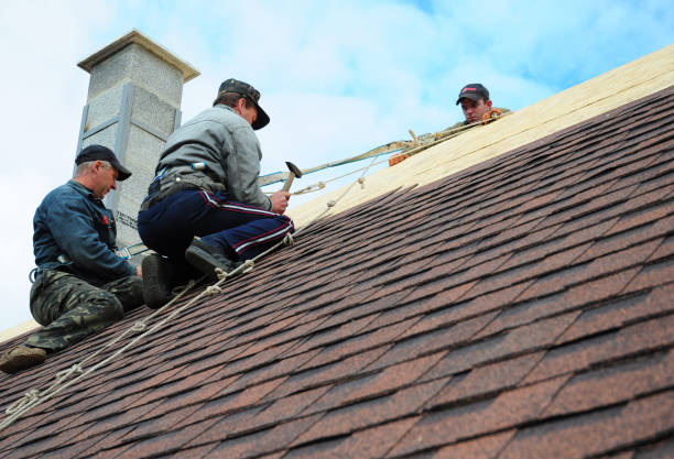 Best Storm Damage Roof Repair  in Blue Mound, IL